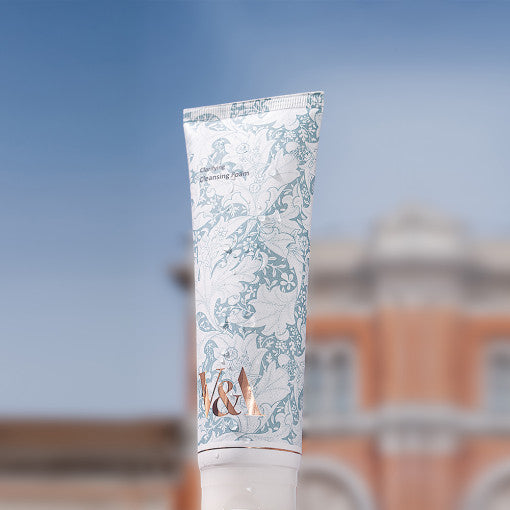Antioxidant Cleansing Foam 135ml, V&A BEAUTY V&A BEAUTY Cleansing Foam