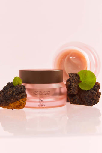 Chaga Cica Exosome Derma Coating Balm 55g, HEVEBLUE