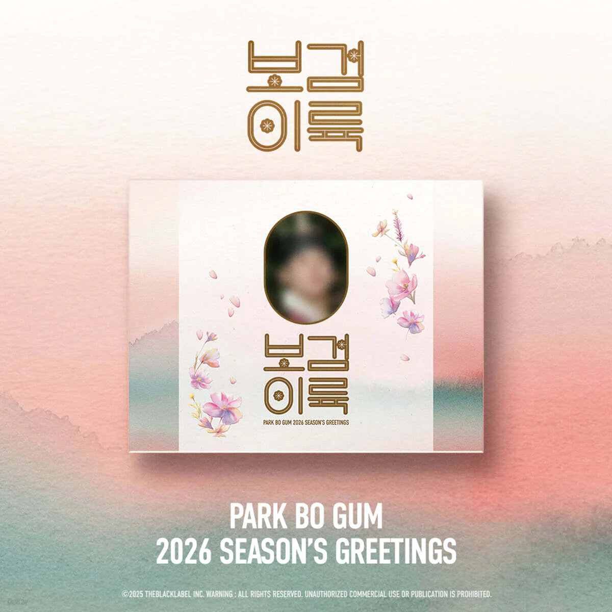 PARK BO GUM - 2026 SEASON'S GREETINGS PARK BO GUM Merch Set