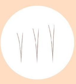 Point Piece Lashes (4,5,6MM) (90pcs) #Natural Under, Fillimilli