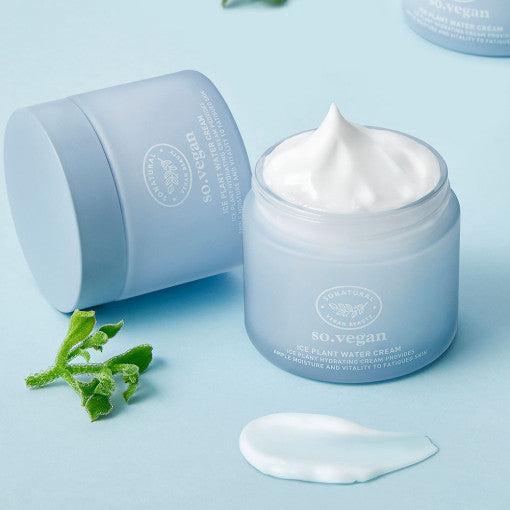 So Vegan Ice Plant Water Cream 70ml, so natural so natural Face Cream