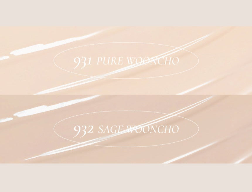 Wooncho Blur-Glowy Foundation 25ml, Dinto Dinto Foundation