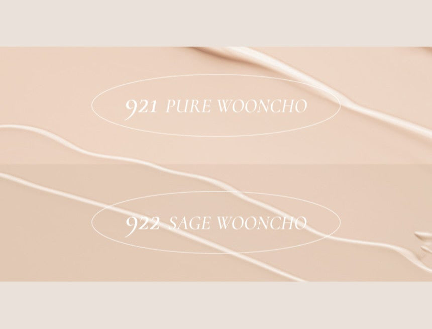 Wooncho Blur-Matte Foundation 25ml, Dinto Dinto Foundation