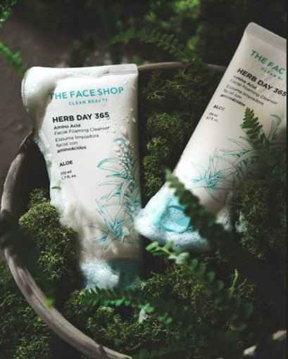 Herb Day 365 Amino Acid Facial Foaming Cleanser 170ml #Aloe, THE FACE SHOP