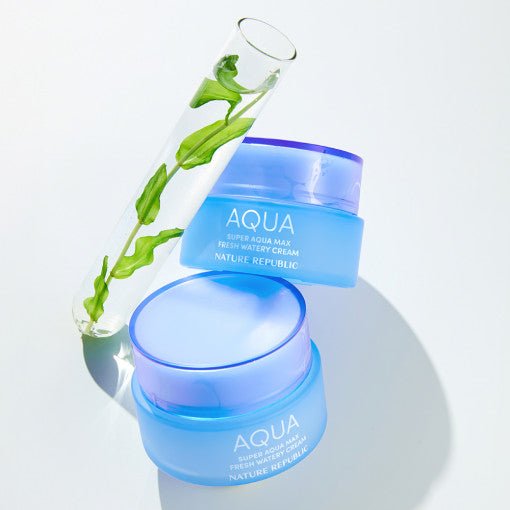 Super Aqua Max Fresh Watery Cream 80ml, NATURE REPUBLIC NATURE REPUBLIC Face Cream