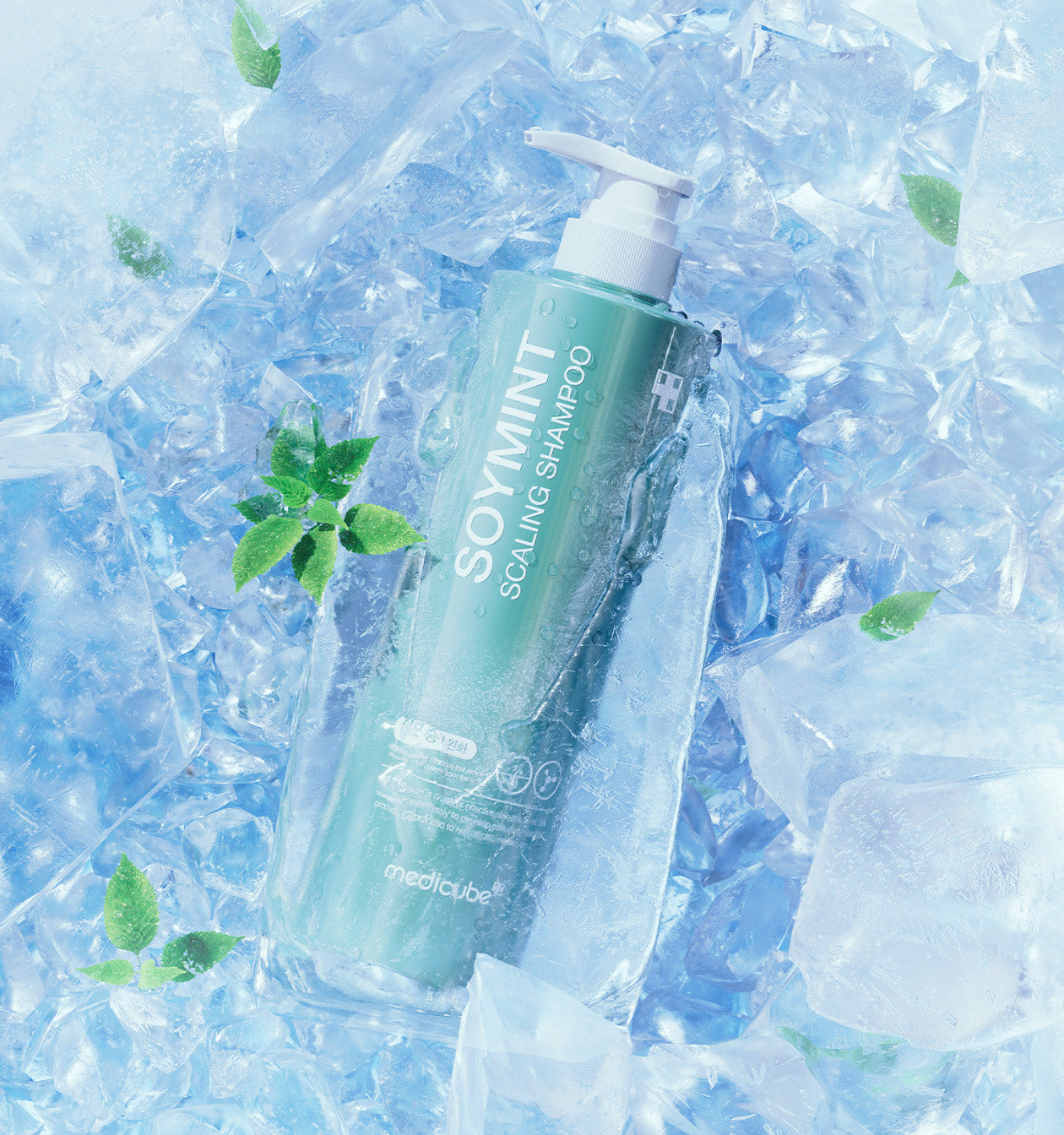 SOYMINT Scaling Shampoo 490ml, medicube medicube Shampoo
