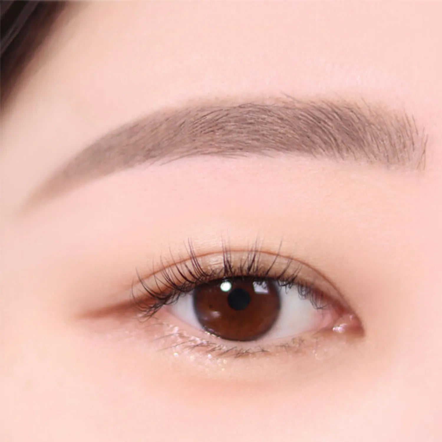 The Brow Color Fixing Cara 3g, espoir espoir Eyebrow Mascara