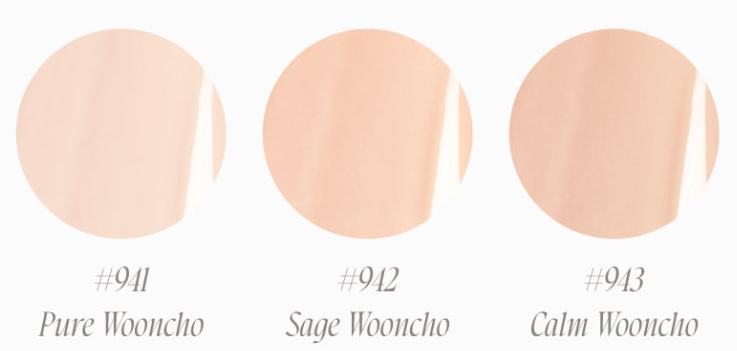 [Wooncho Collection] Blur-Glowy Cushion 12g+12g(Refill), Dinto Dinto Cushion Foundation