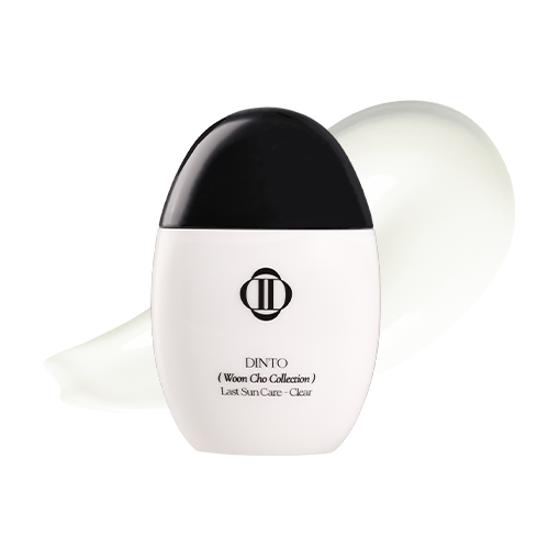 [Wooncho Collection] Last Sun Care SPF 50+PA++++ 50ml, Dinto-1