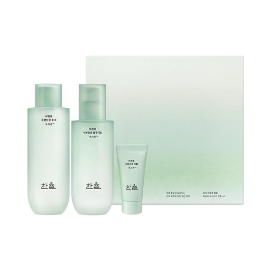 Pure Artemisia Calming Balancing Set, HANYUL HANYUL Skincare Set