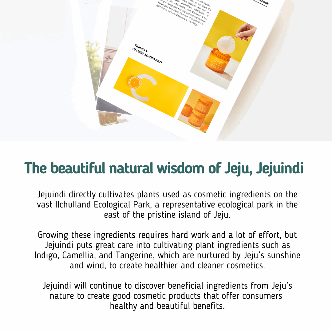 Vitamin C Glossy Jumbo Pad 160ml, JEJU INDI JEJU INDI Hydrating Toner